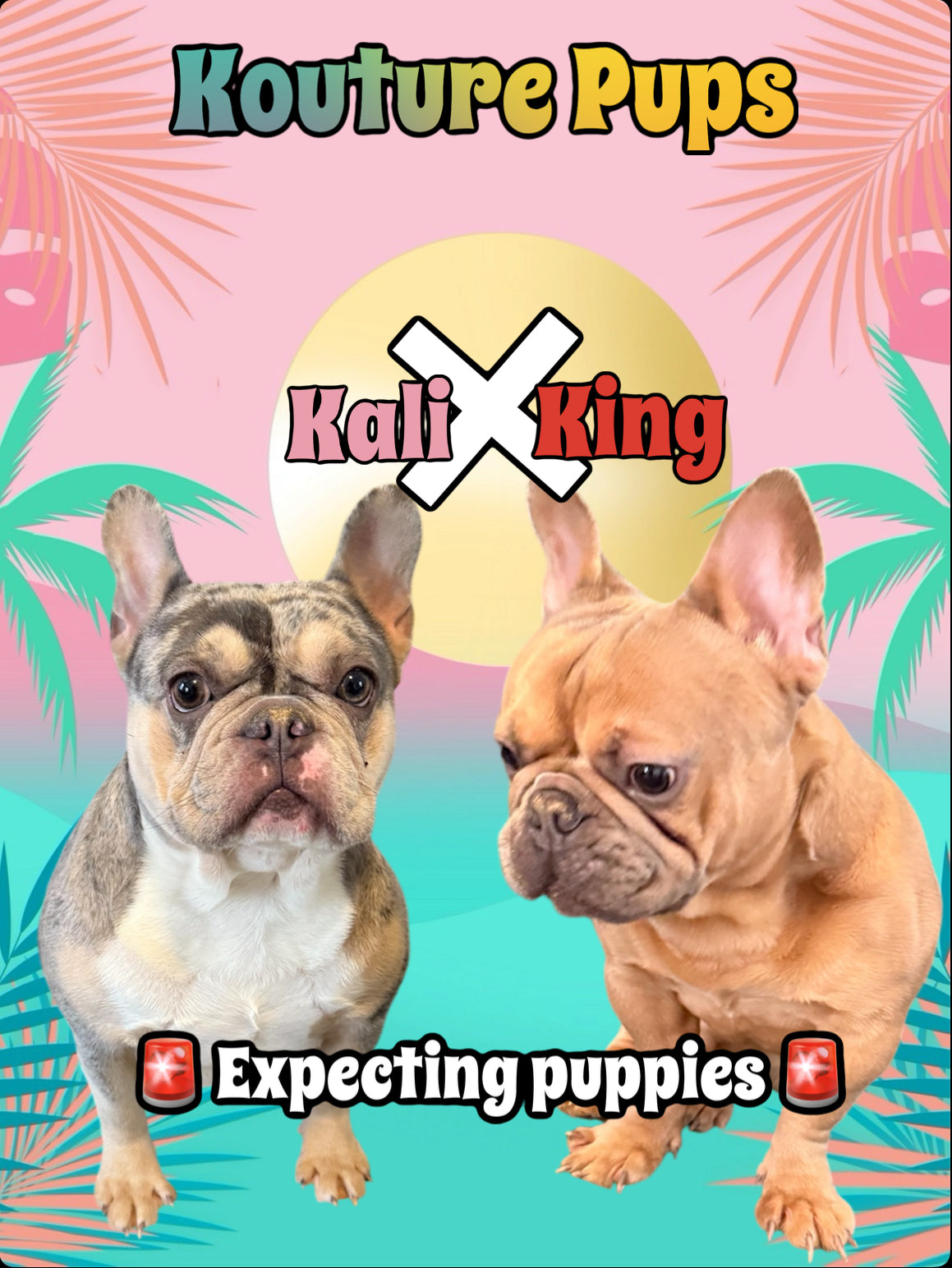 Tropical litter deposit